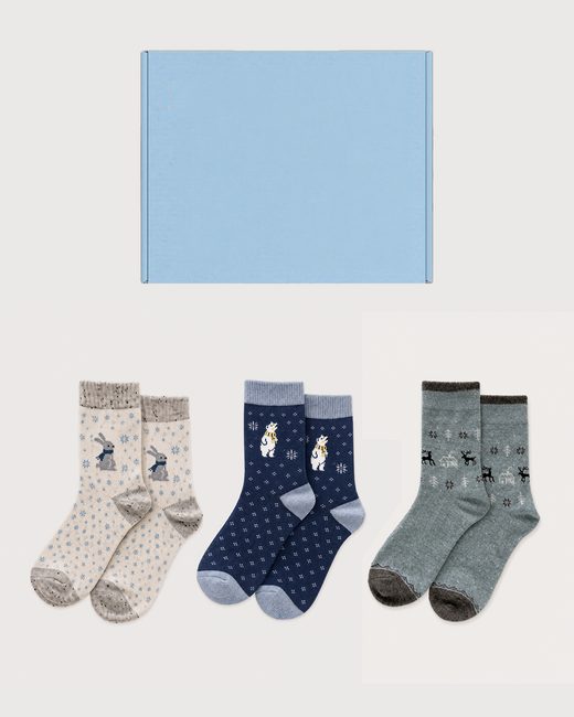 Cosy Winter Socks Gift Set